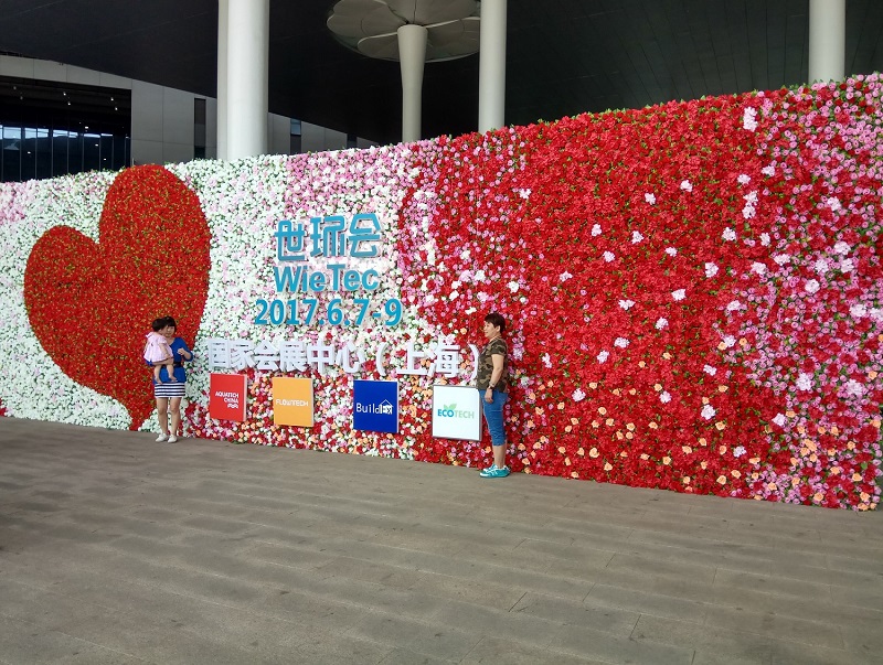 1497496546356277.jpg 1497496546356277.jpg