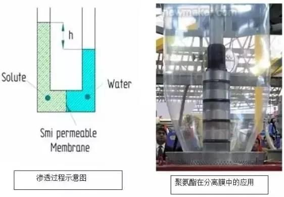 1550721105200256 (1).jpg